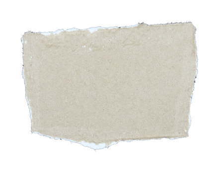 Pieces of torn scrapbook paper on transparent background png file