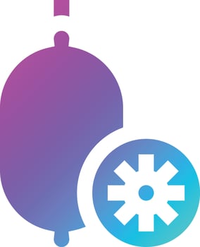 Kiwi Vector Icon Design Illustration