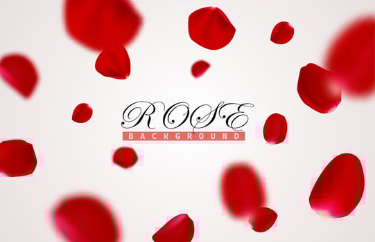 Flying rose petals banner. Pink romantic horizontal background. vector