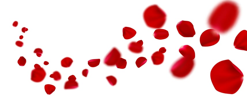 Flying realistic vector red rose petals.