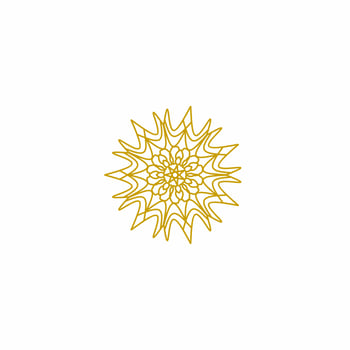 a golden starburst logo on a white background vector