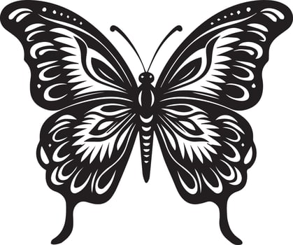 Butterfly vector illustration black color