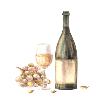 A bottle and glass of white wine with bunch of grapes and grape berries. Watercolour hand draw food illustration. Wine making set for design of flyers, drink menu, wine list, label png