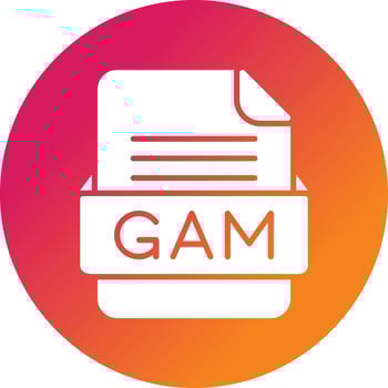 GAM File Format Vector Icon