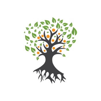 family tree logo template vector