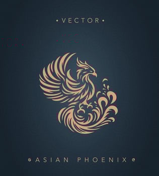 Asian traditional phoenix pattern Chinese phoenix vector