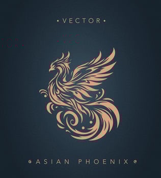 Asian traditional phoenix pattern Chinese phoenix vector