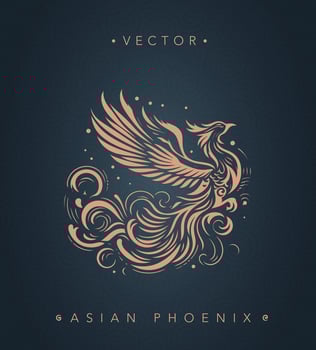 Asian traditional phoenix pattern Chinese phoenix vector
