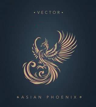 Asian traditional phoenix pattern Chinese phoenix vector
