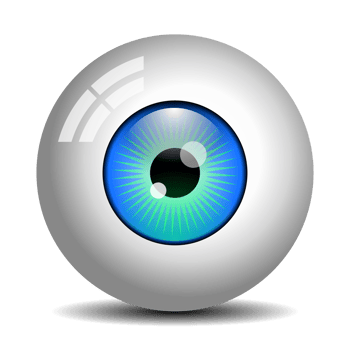 Realistic Eyeball with transparent background png