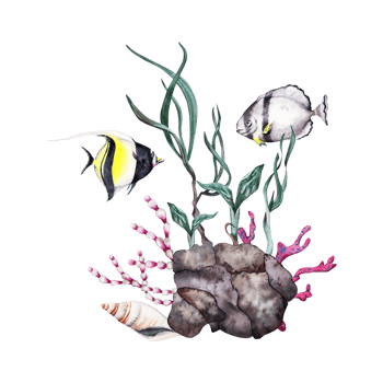 Two tropical fishes swimming over reef rock, red corals, plants and green seaweed. Hand drawn watercolor illustration isolated on transparent background. Tropical underwater ocean collection. png