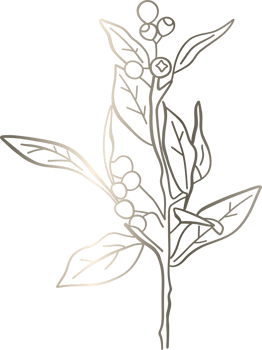 Branches with leaves and berries drawing gradient decoration design. png