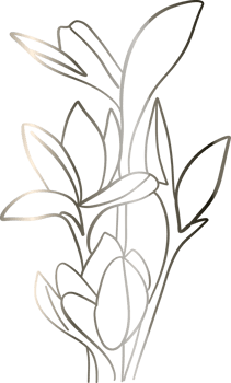 Flowers with leaves drawing gradient decoration design png