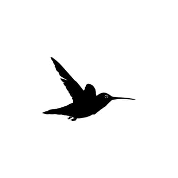 Flying Hummingbird Silhouette, can use Art Illustration, Website, Logo Gram, Pictogram or Graphic Design Element. Vector Illustration