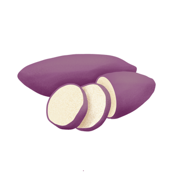 sweet potato illustration on png transparant
