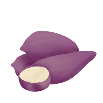 sweet potato illustration on png transparant background