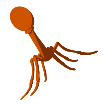 Illustration of virus png