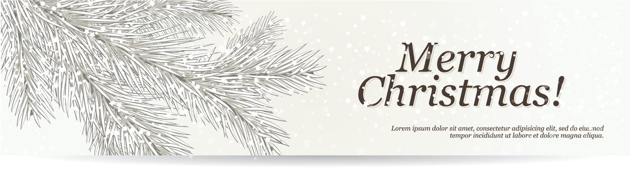 Christmas banner. Christmas design background sparkling christmas tree twigs with silver snowflakes. Horizontal Christmas poster, greeting card, website header vector