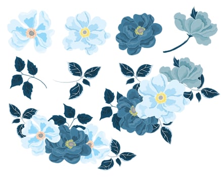 Hand Drawn Blue Anemone Flower vector