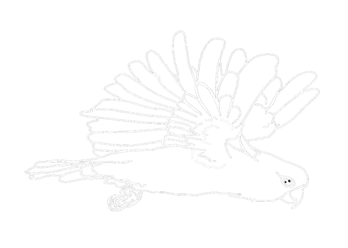 illustration of a Parrot , Cockatoo , Kakatua - white line art png