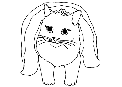 Animal - Adorable Cat, Kitten, Kitty Illustration png