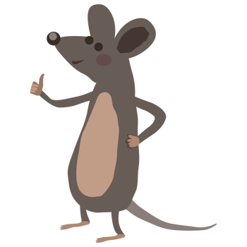 cute animals racoon fox bear mouse rabbit coala png