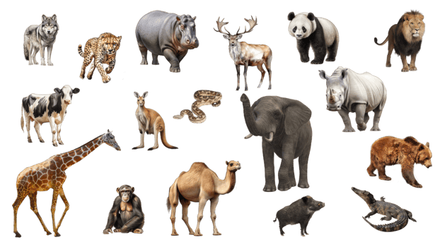 African safari animal on transparent background. Illustration set. Wildlife, AI generated png