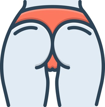 color icon for ass vector