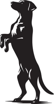Dog Pose vector silhouette illustration black color