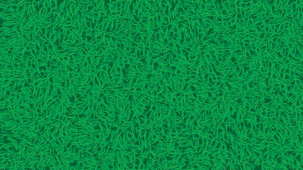 picture of grass vector