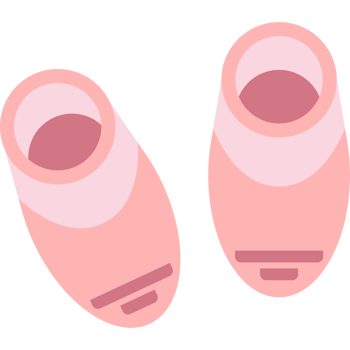 Baby Shoes Isolated Transparent Background PNG Illustration