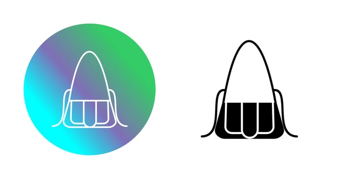 Bag Vector Icon
