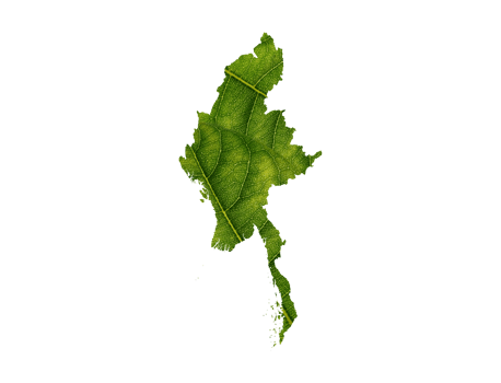 Myanmar map made of green leaves  ecology concept png