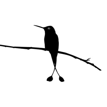 Perched Hummingbird Silhouette, can use Art Illustration, Website, Logo Gram, Pictogram or Graphic Design Element. Vector Illustration