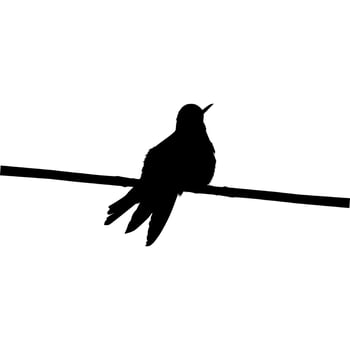 Perched Hummingbird Silhouette, can use Art Illustration, Website, Logo Gram, Pictogram or Graphic Design Element. Vector Illustration