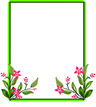 watercolor floral frame clipart. Flower border illustration hand drawn png