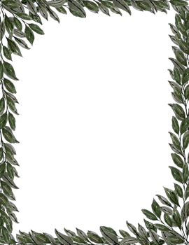 Watercolor leaves frame clipart. Rectangle border hand drawn. png