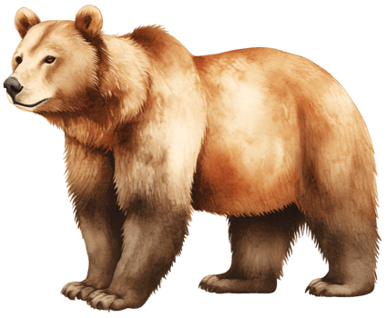 Brown bear. AI Generative png