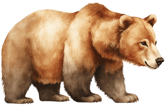 Brown bear. AI Generative png