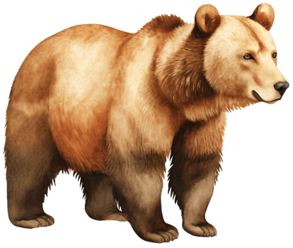 Brown bear. AI Generative png