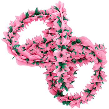 Abstract Pink And Green Knot png