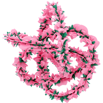 Abstract Pink And Green Knot png