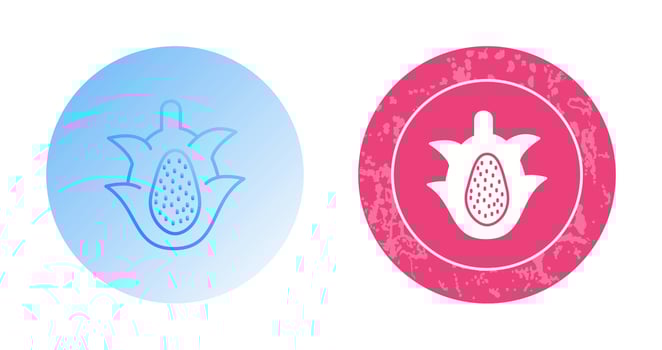 Dragon Fruit Vector Icon