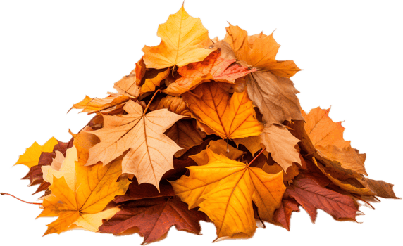 Pile of autumn leaves png with AI generated.