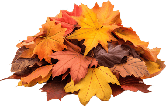Pile of autumn leaves png with AI generated.