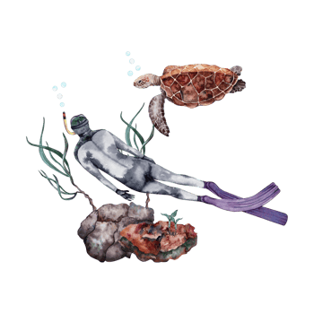 Marine life composition with a diver, coral reef, seaweed and a sea turtle. Watercolor illustration isolated on transparent background. For book, card, invitation, flyer, brochure designs png