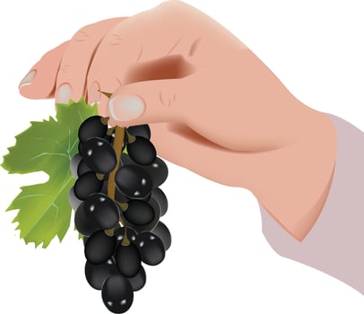 hand lifting a bunch of a black one vector