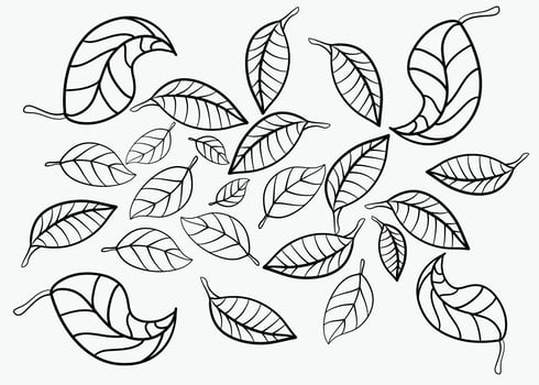 Outline round leaf for coloring book page. Antistress for adults and children. Doodle ornament in black and white. Hand draw vector illustration.