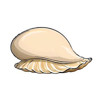 Clam Shell Hand Drawn Cartoon Style Illustration AI Generated png