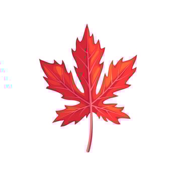 Red maple leaf foliage embodies autumn fiery hues, vector